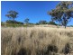 Clifton Rocky Springs Road, Coolatai NSW 2402