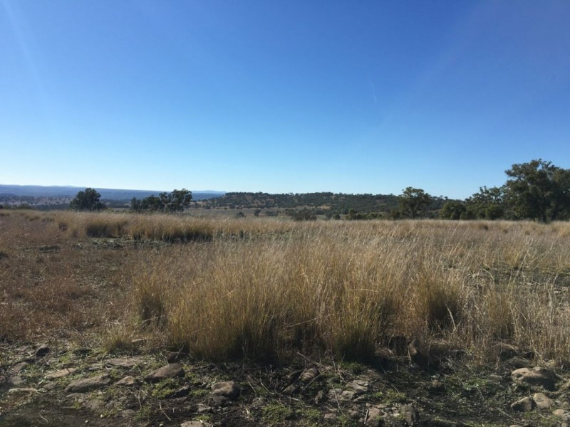 Clifton Rocky Springs Road, Coolatai NSW 2402