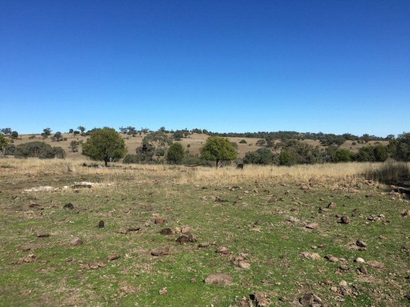 Clifton Rocky Springs Road, Coolatai NSW 2402