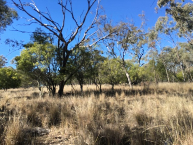 Clifton Rocky Springs Road, Coolatai NSW 2402