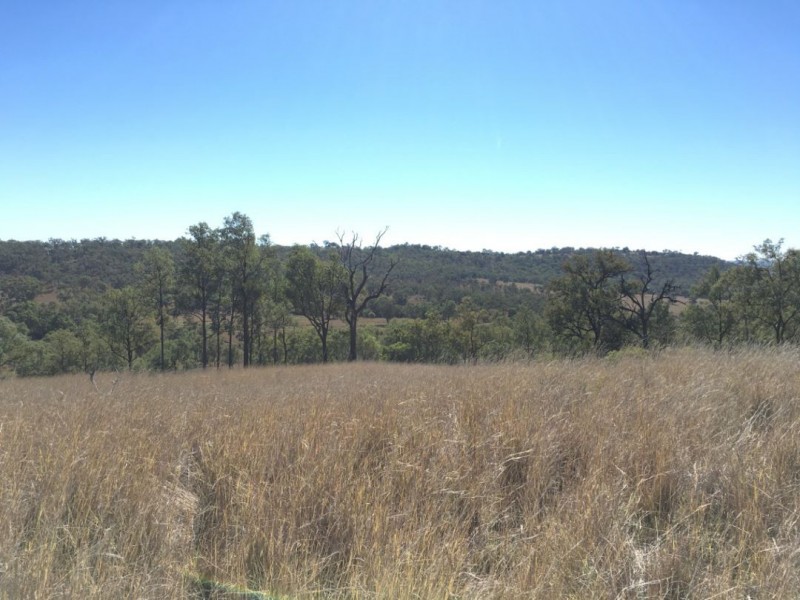 Clifton Rocky Springs Road, Coolatai NSW 2402