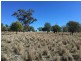 Clifton Rocky Springs Road, Coolatai NSW 2402