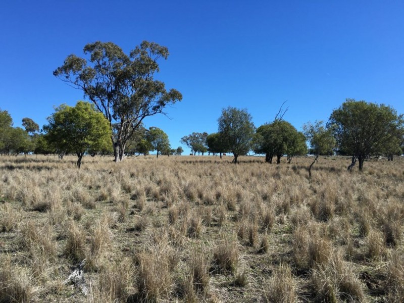 Clifton Rocky Springs Road, Coolatai NSW 2402