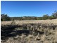 Clifton Rocky Springs Road, Coolatai NSW 2402