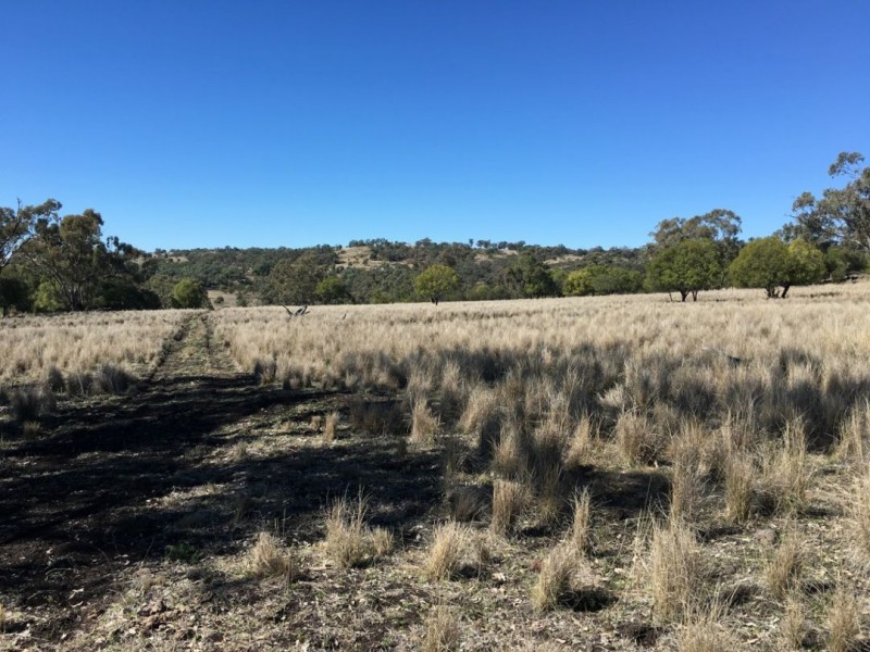 Clifton Rocky Springs Road, Coolatai NSW 2402