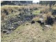 Clifton Rocky Springs Road, Coolatai NSW 2402