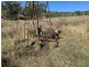 Clifton Rocky Springs Road, Coolatai NSW 2402