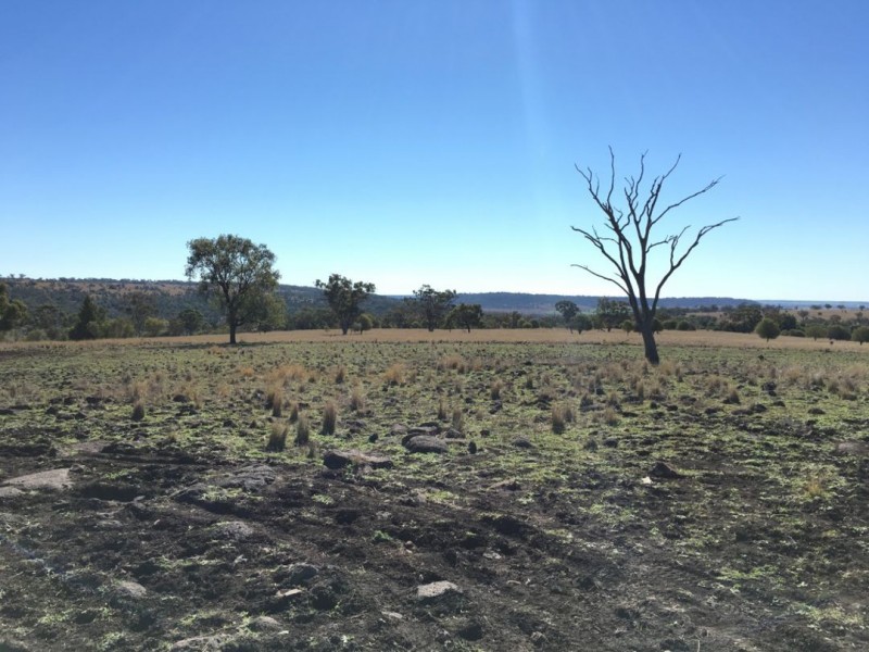 Clifton Rocky Springs Road, Coolatai NSW 2402