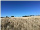 Clifton Rocky Springs Road, Coolatai NSW 2402