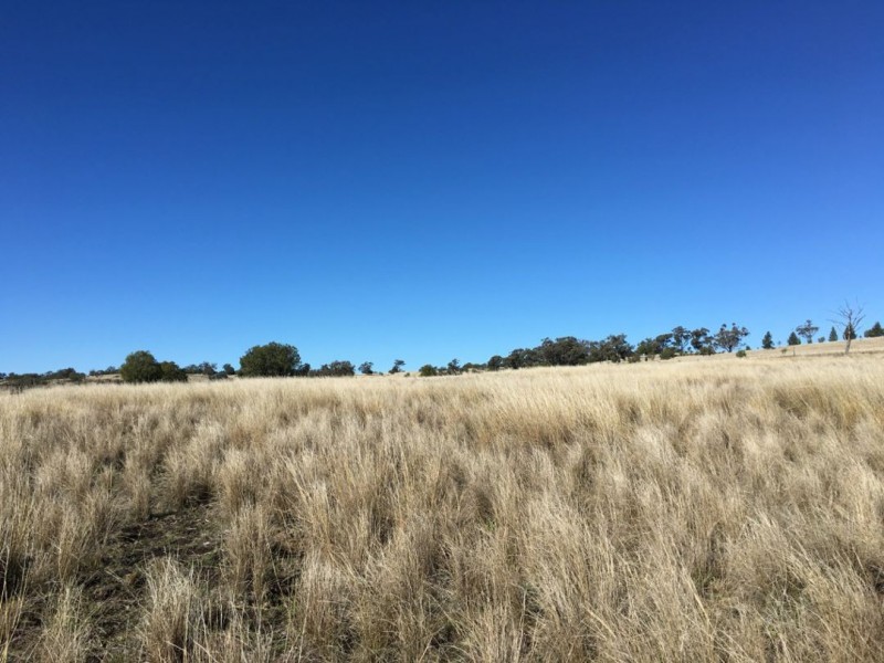 Clifton Rocky Springs Road, Coolatai NSW 2402