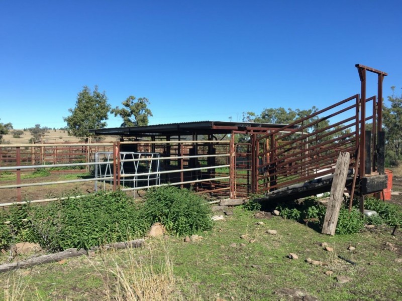 Clifton Rocky Springs Road, Coolatai NSW 2402