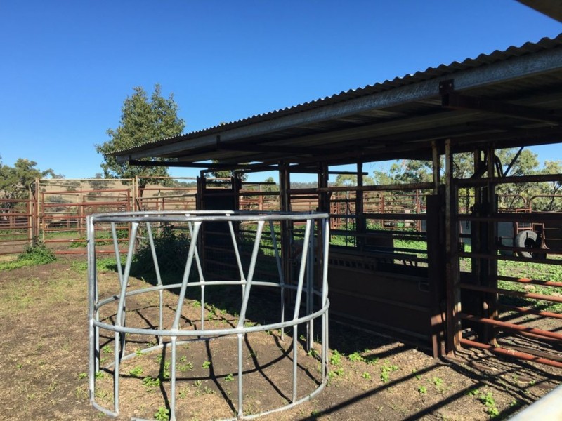 Clifton Rocky Springs Road, Coolatai NSW 2402