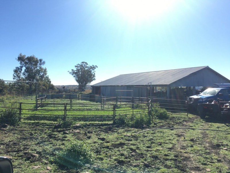 Clifton Rocky Springs Road, Coolatai NSW 2402