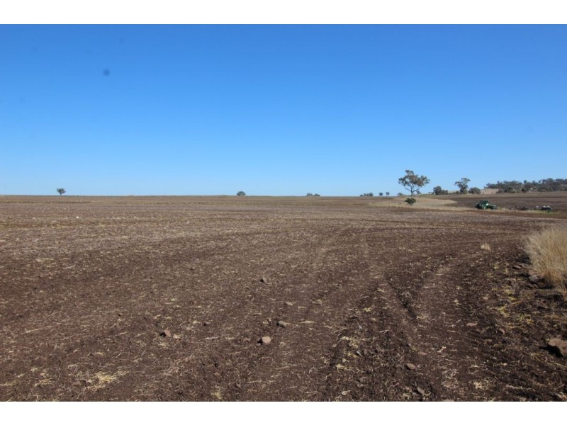 “WARRAGUNDI”, Warialda NSW 2402