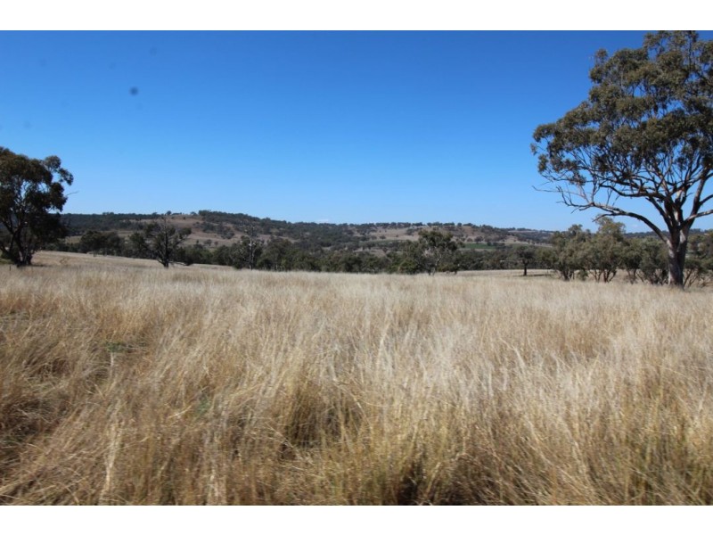 “WARRAGUNDI”, Warialda NSW 2402