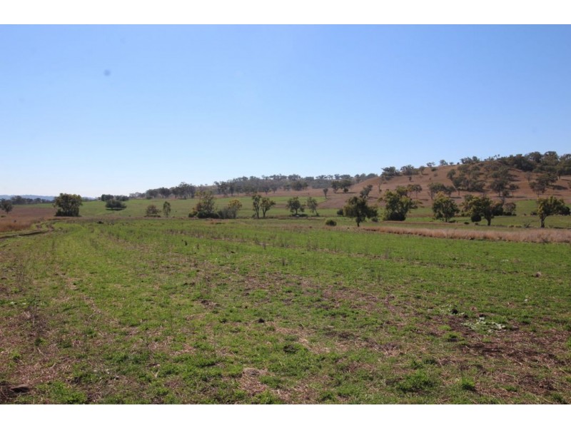 “WARRAGUNDI”, Warialda NSW 2402