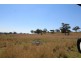 “WARRAGUNDI”, Warialda NSW 2402
