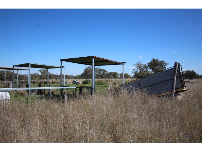 “WARRAGUNDI”, Warialda NSW 2402