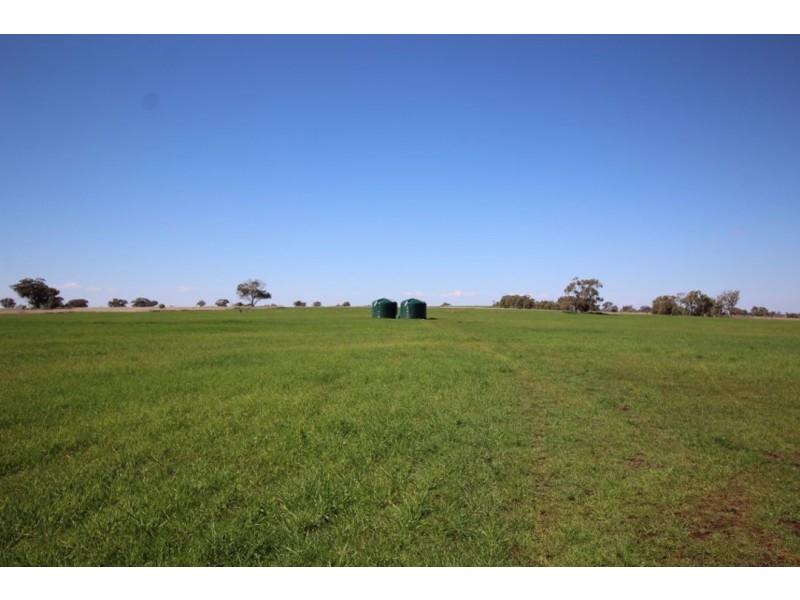 “WARRAGUNDI”, Warialda NSW 2402