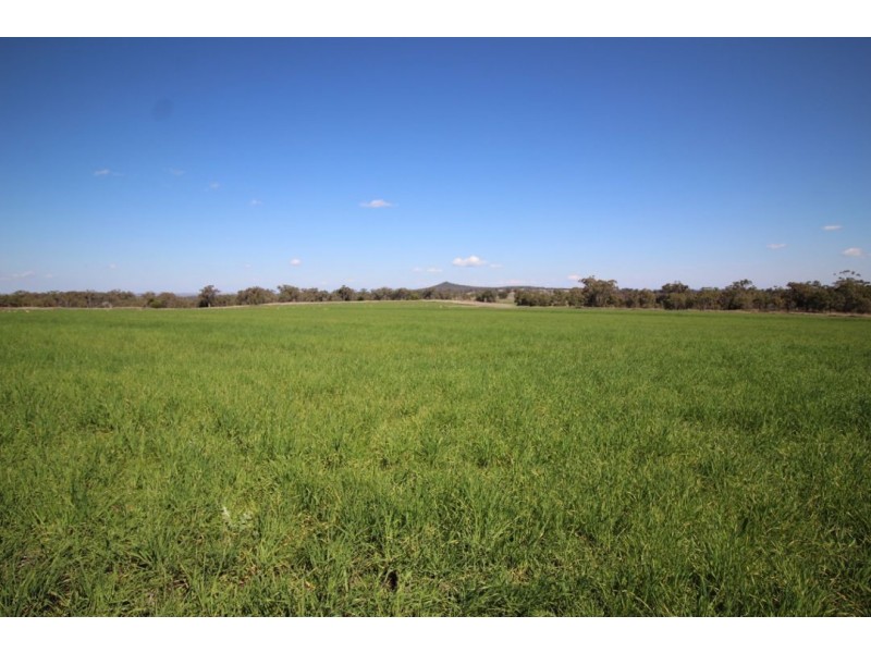 “WARRAGUNDI”, Warialda NSW 2402