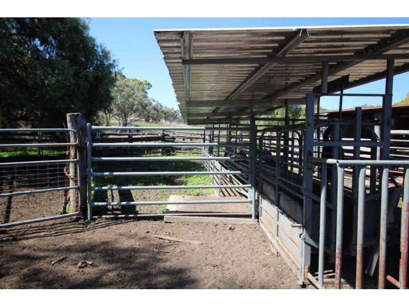 “WARRAGUNDI”, Warialda NSW 2402