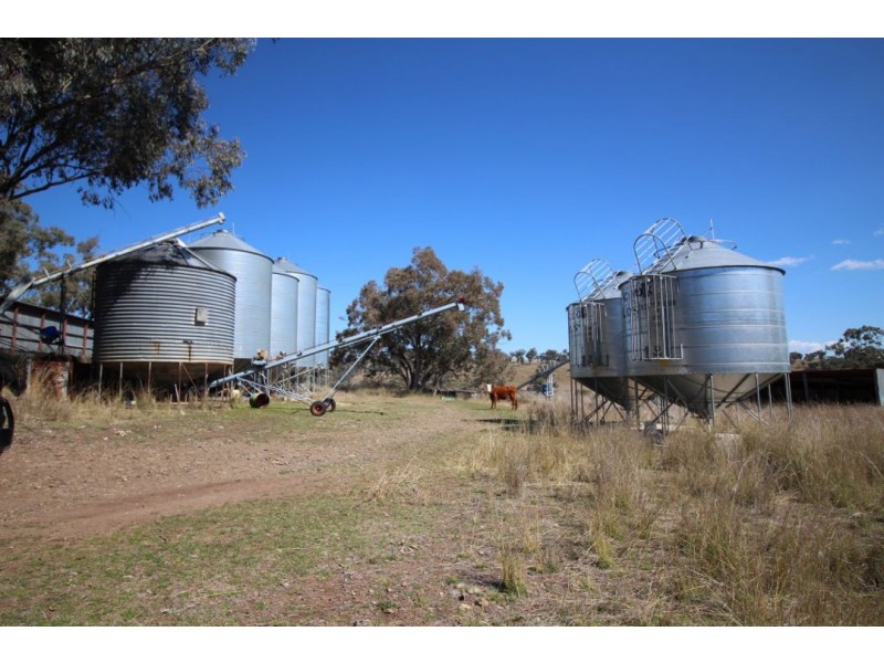 “WARRAGUNDI”, Warialda NSW 2402
