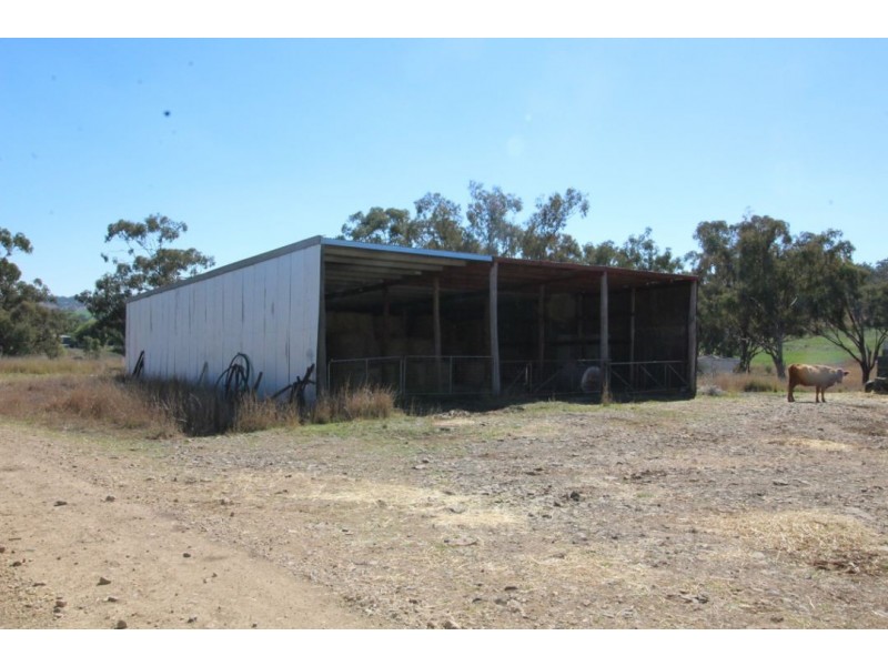 “WARRAGUNDI”, Warialda NSW 2402