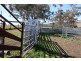 “WARRAGUNDI”, Warialda NSW 2402