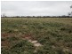 Briery, Brewarrina NSW 2839