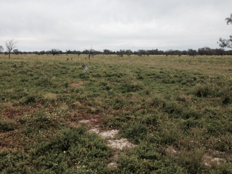 Briery, Brewarrina NSW 2839