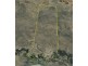 Briery, Brewarrina NSW 2839