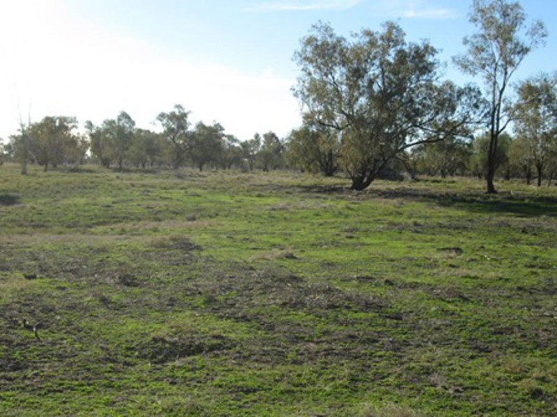 Briery, Brewarrina NSW 2839