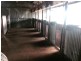 Briery, Brewarrina NSW 2839