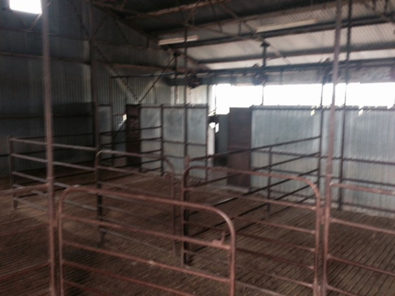 Briery, Brewarrina NSW 2839