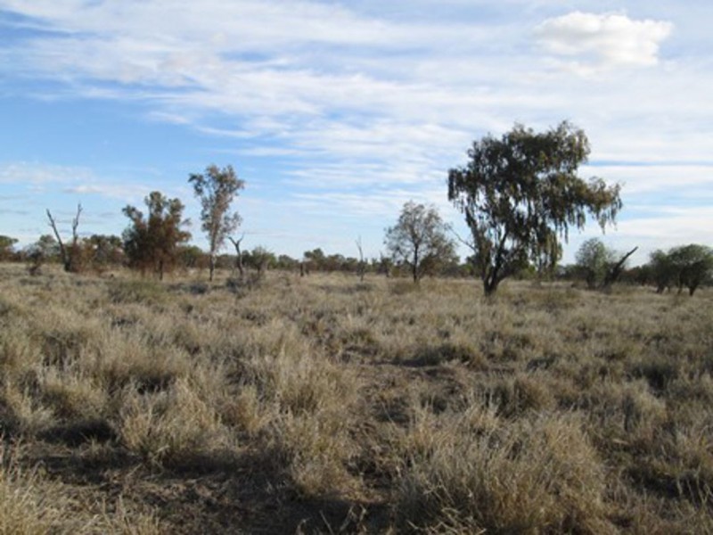 Briery, Brewarrina NSW 2839