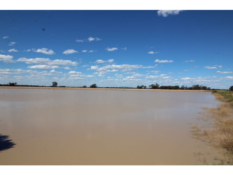 Beloka & Willawah, Wee Waa NSW 2388