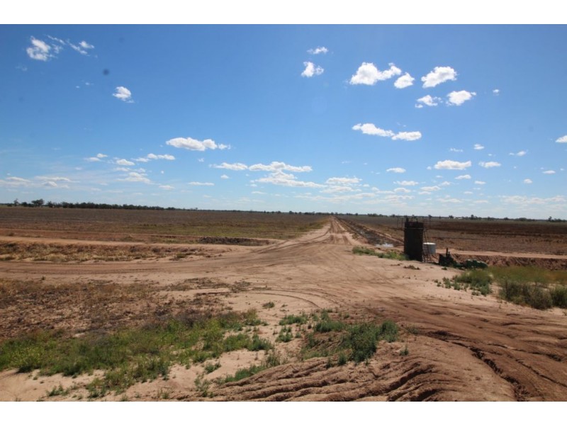 Beloka & Willawah, Wee Waa NSW 2388