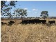 Gravesend NSW 2401