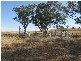 Gravesend NSW 2401