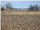 Gravesend NSW 2401