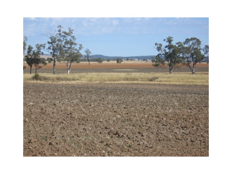 Gravesend NSW 2401