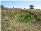 Gravesend NSW 2401