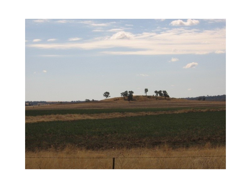 Gravesend NSW 2401