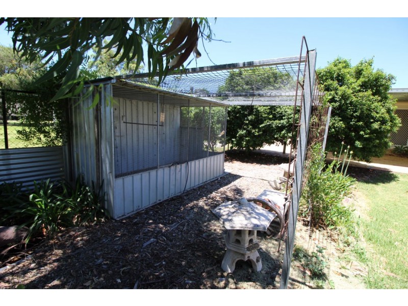 29 Paramellowa Street, Pallamallawa NSW 2399