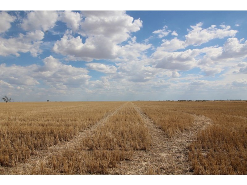 Part “Carlingford”, Garah NSW 2405