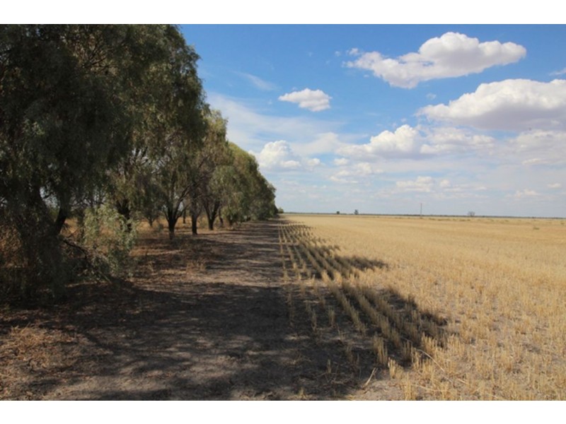 Part “Carlingford”, Garah NSW 2405