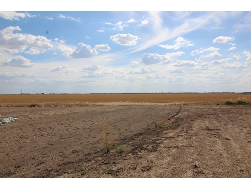 Part “Carlingford”, Garah NSW 2405