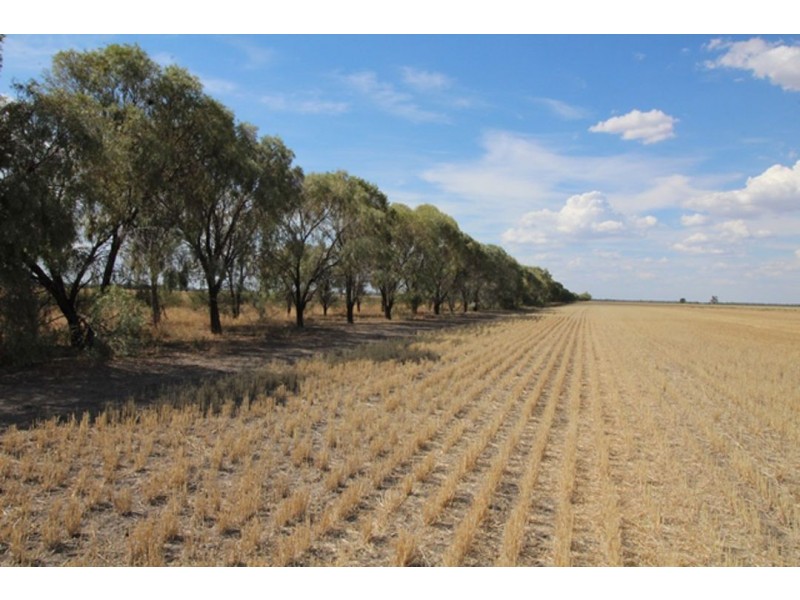 Part “Carlingford”, Garah NSW 2405