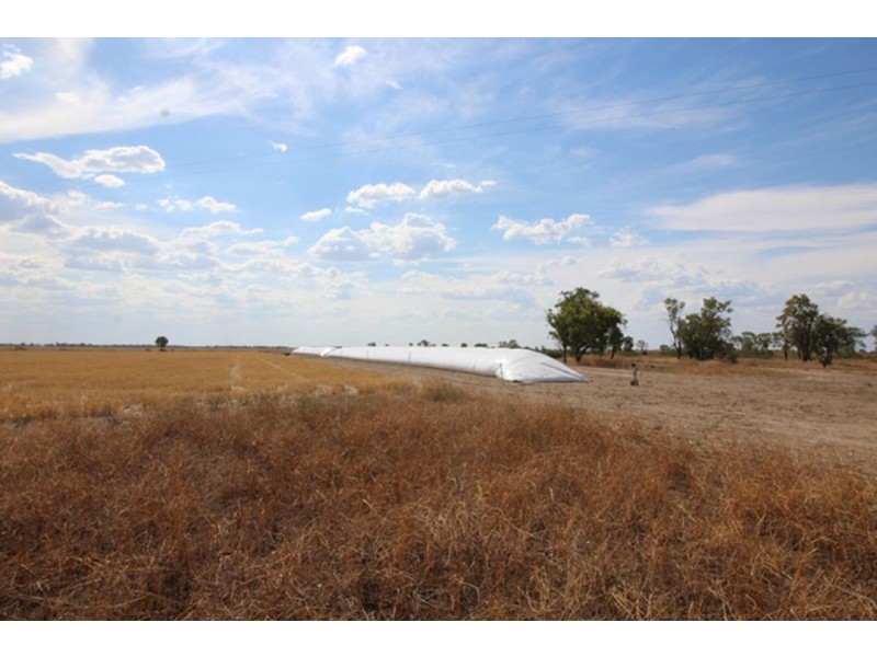 Part “Carlingford”, Garah NSW 2405