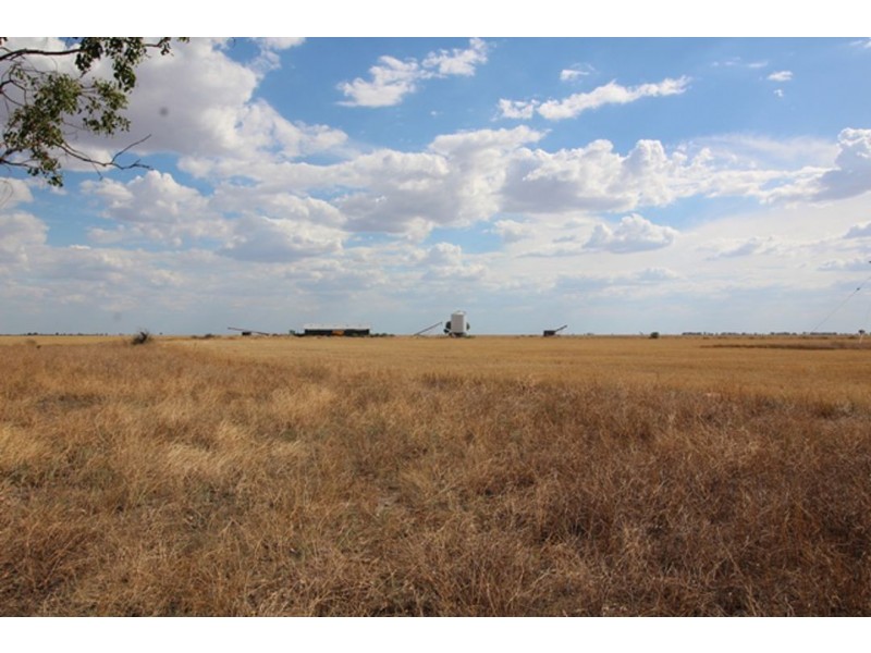 Part “Carlingford”, Garah NSW 2405